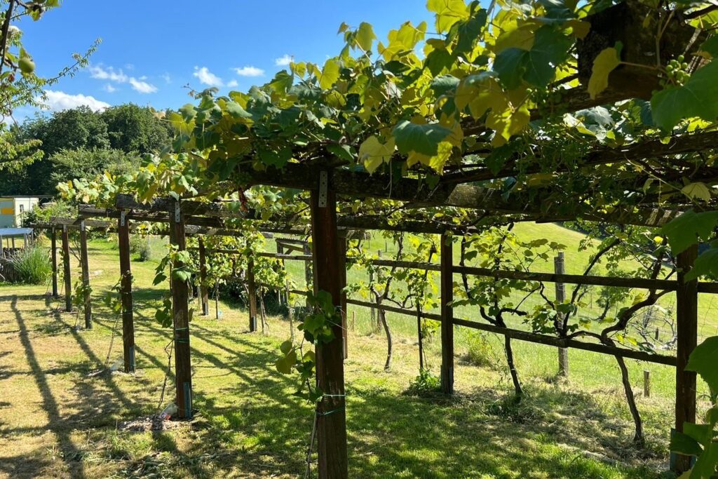 2.000 m² Garten